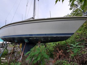 Købe 1986 Pearson 36-2