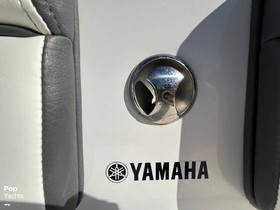 2021 Yamaha Fsh 210 Sport