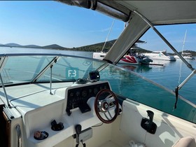 1988 Sea Ray 220 Da satın almak