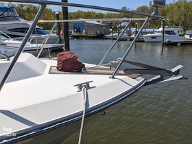 Koupit 1987 Sea Ray 340 Sundancer