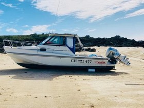 Boston Whaler Revenge 25