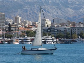 Tica 29 Feet