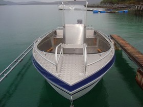 Vegyél 2021 Viking Boats (Small boats) 550 Aluboot