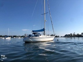 1984 Canadian Sailcraft 36 for sale