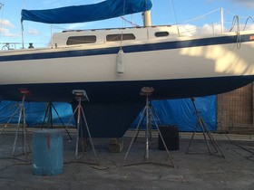 1976 CAL 2-29 for sale