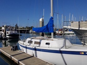 1976 CAL 2-29 for sale