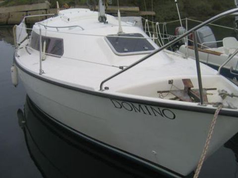 Sailfish 250
