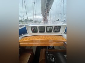 2017 Bianca Yacht 36