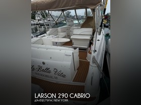 Larson 290 Cabrio