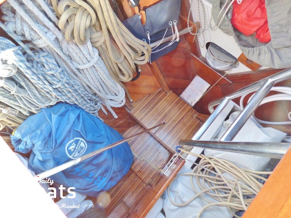 Avid Elixir | Confronta Prezzi - Foto 4