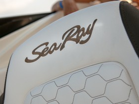 2023 Sea Ray Sun Sport 230 Sse Ob Aussenborder Fur 2023