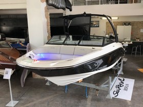 Buy 2023 Sea Ray 190 Spx Wakeboard Tower 250 Ps Mj 2023