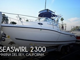 Striper / Seaswirl 2300 Wa