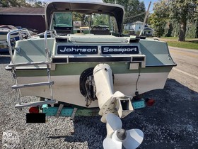 1969 SeaSport Johnson te koop