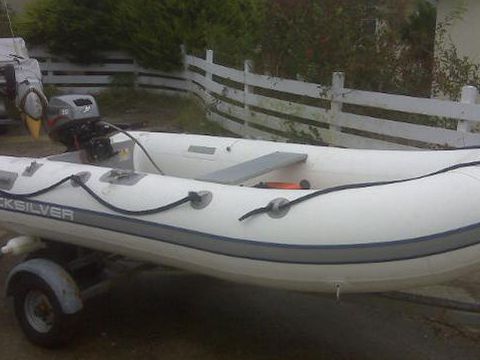 Buy 2009 Quicksilver 320