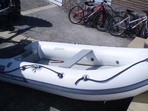Buy 2009 Quicksilver 320