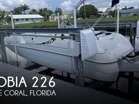 Cobia 226