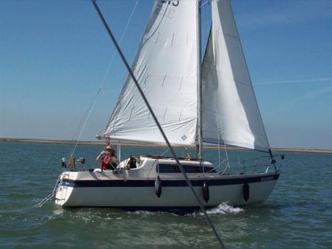 Virgo Voyager 23