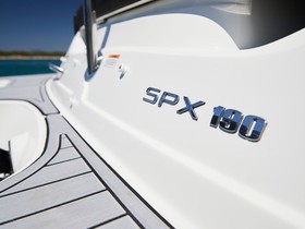 Sea Ray Spx 190 Outboard for sale