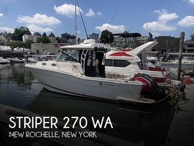 Striper / Seaswirl 270 Wa