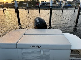 Купить 2022 Sea Ray 230 Spo Outboard Mit 225 Ps Testboot