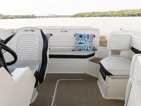 2023 Sea Ray 190 Spxe Inboard for sale