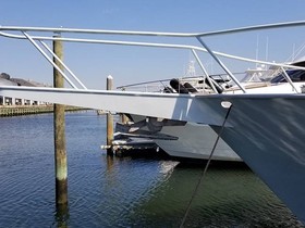 1981 Striker 60