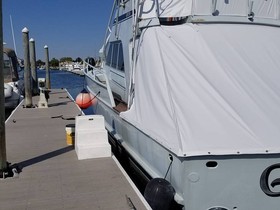1981 Striker 60