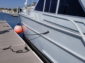 1981 Striker 60 na sprzedaż