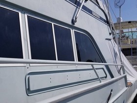 1981 Striker 60