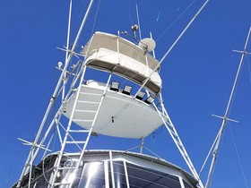 1981 Striker 60