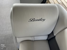Купить 2022 Bentley 240 Cruise Re