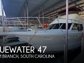 Bluewater Yachts 47 Sedan Cruiser