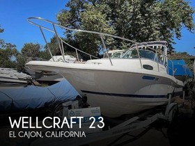 Wellcraft Excel 23 Fisher