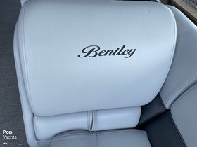 Купить 2022 Bentley 240 Navigator
