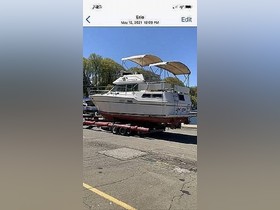 Buy 1983 Sea Ray 355 Aft Cabin