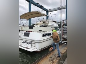 1983 Sea Ray 355 Aft Cabin