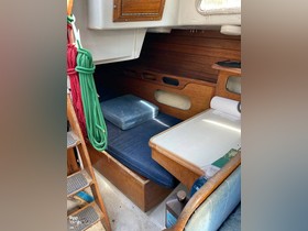 Buy 1976 Ericson Yachts 35