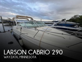 Larson 290 Cabrio