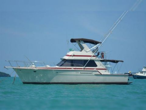 Bertram 42