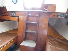 1979 Master Marine 24 til salgs