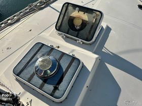 1983 Contest Yachts / Conyplex 35 for sale
