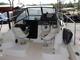 Buy 1998 Bayliner 2509Wa