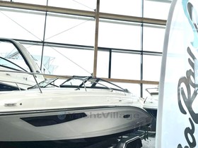 Buy 2023 Sea Ray 230 Sunsport 300Ps V8 Voll Bln 2556115