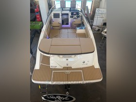 2023 Sea Ray 230 Sunsport 300Ps V8 Voll Bln 2556115