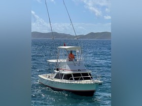 Koupit 1964 Bertram Yacht 31 Sportfisher