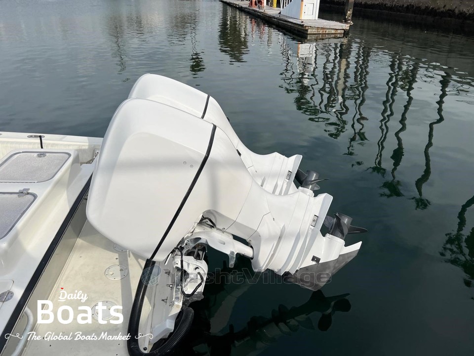 2008 Salt Shaker 300 Custom Edition for sale. View price, photos and