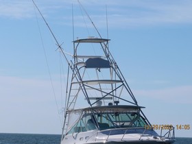 2004 Cabo Yachts 35 Express W/Tower
