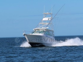 Cabo Yachts 35 Express W/Tower