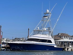 Bertram Sport Fish